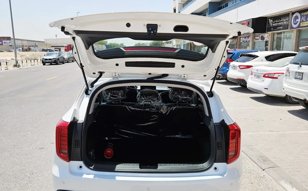 Haval Joloin Plus 2024 White 3